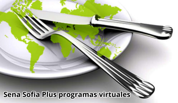 Sena Sofia Plus programas virtuales