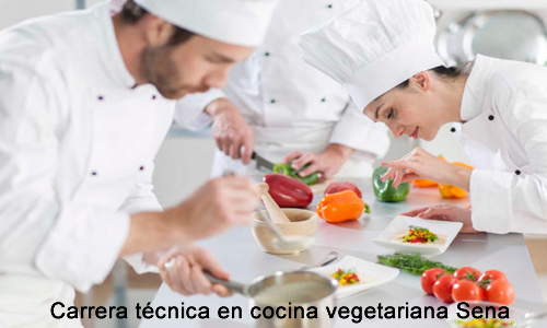 Carrera técnica en cocina vegetariana Sena 