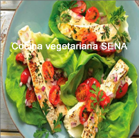 Carrera técnica en cocina vegetariana Sena